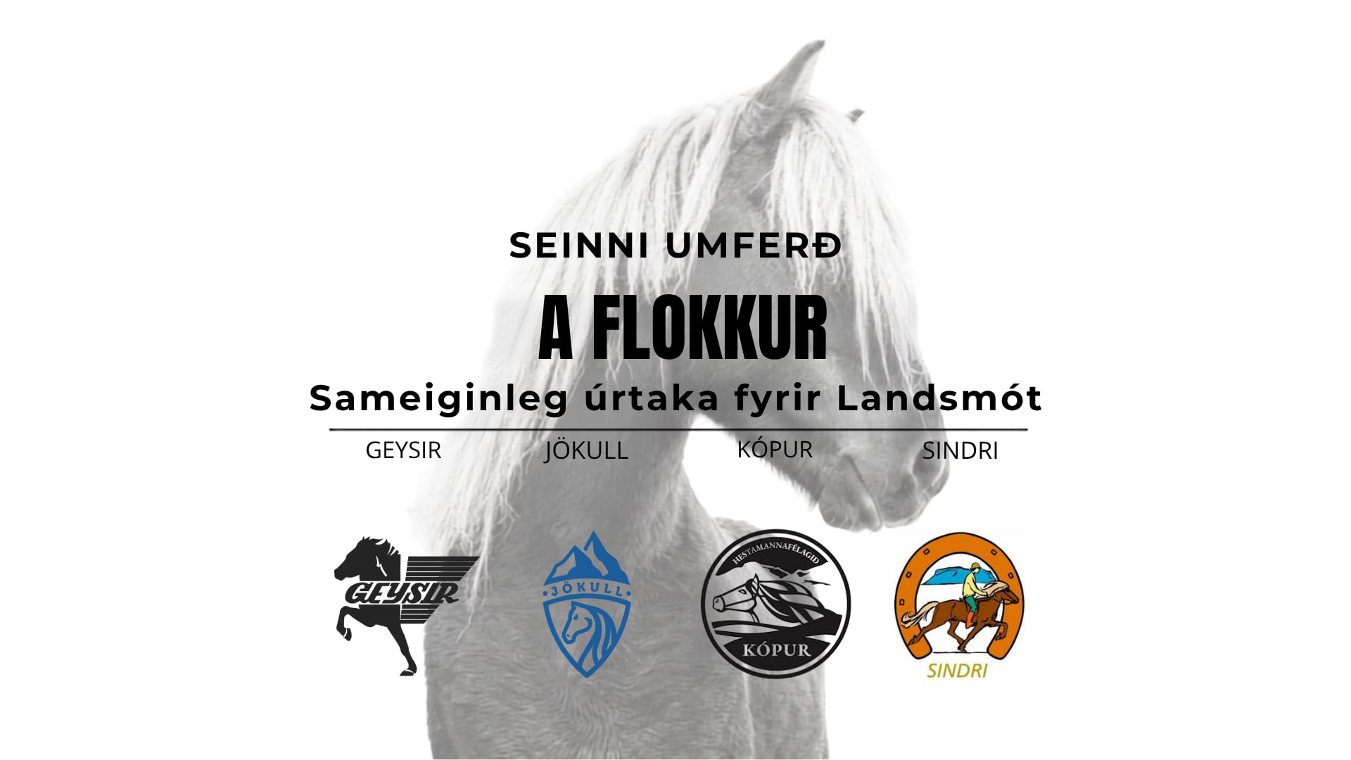 A flokkur - Landsmótsúrtaka Geysis, Jökuls, Kóps og Sindra