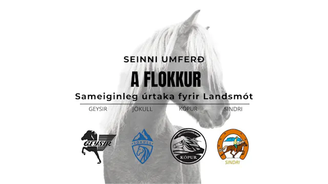 A flokkur - Landsmótsúrtaka Geysis, J...