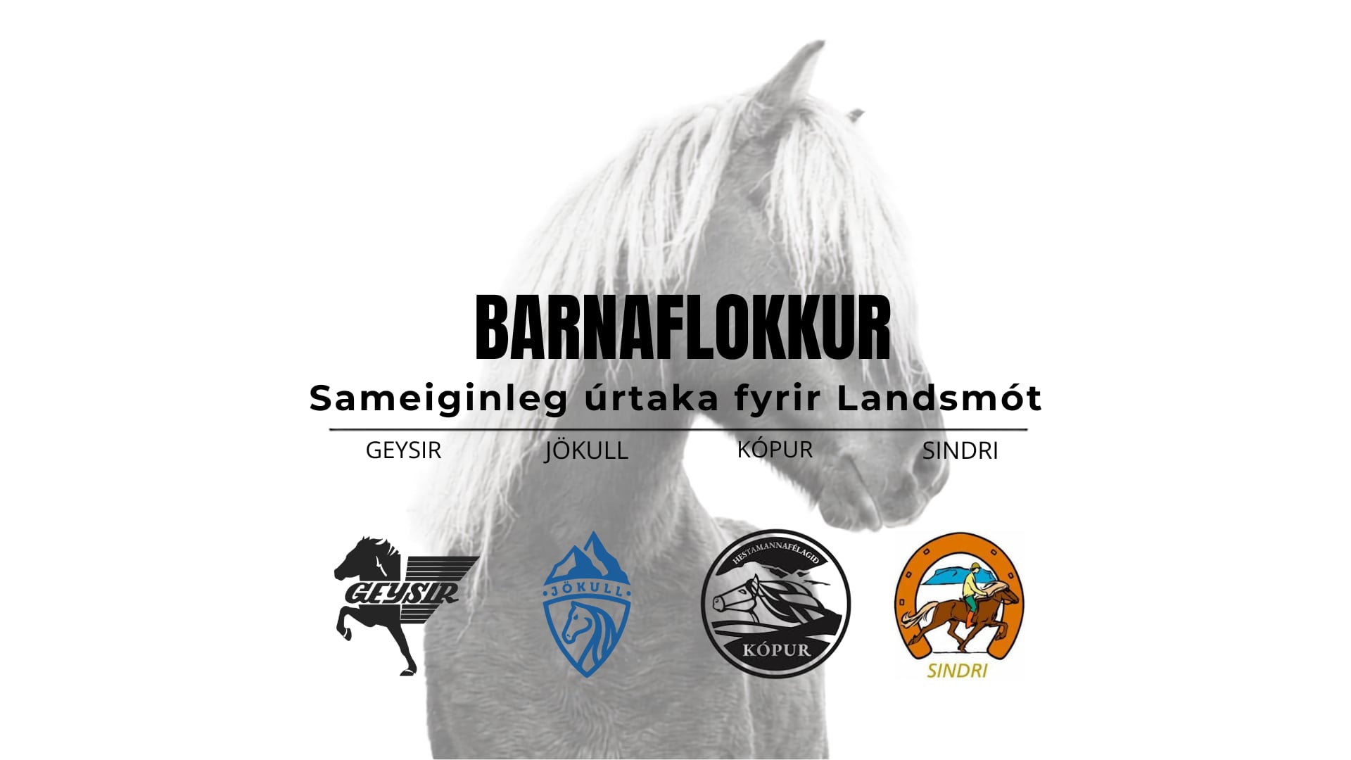 Barnaflokkur - Landsmótsúrtaka Geysis, Jökuls, Kóps og Sindra