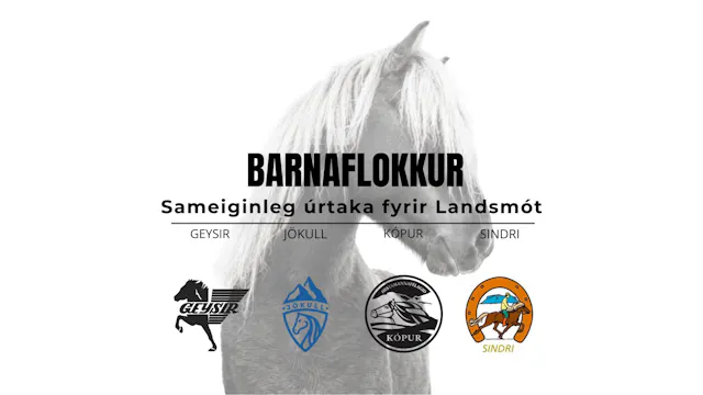 Barnaflokkur - Landsmótsúrtaka Geysis...