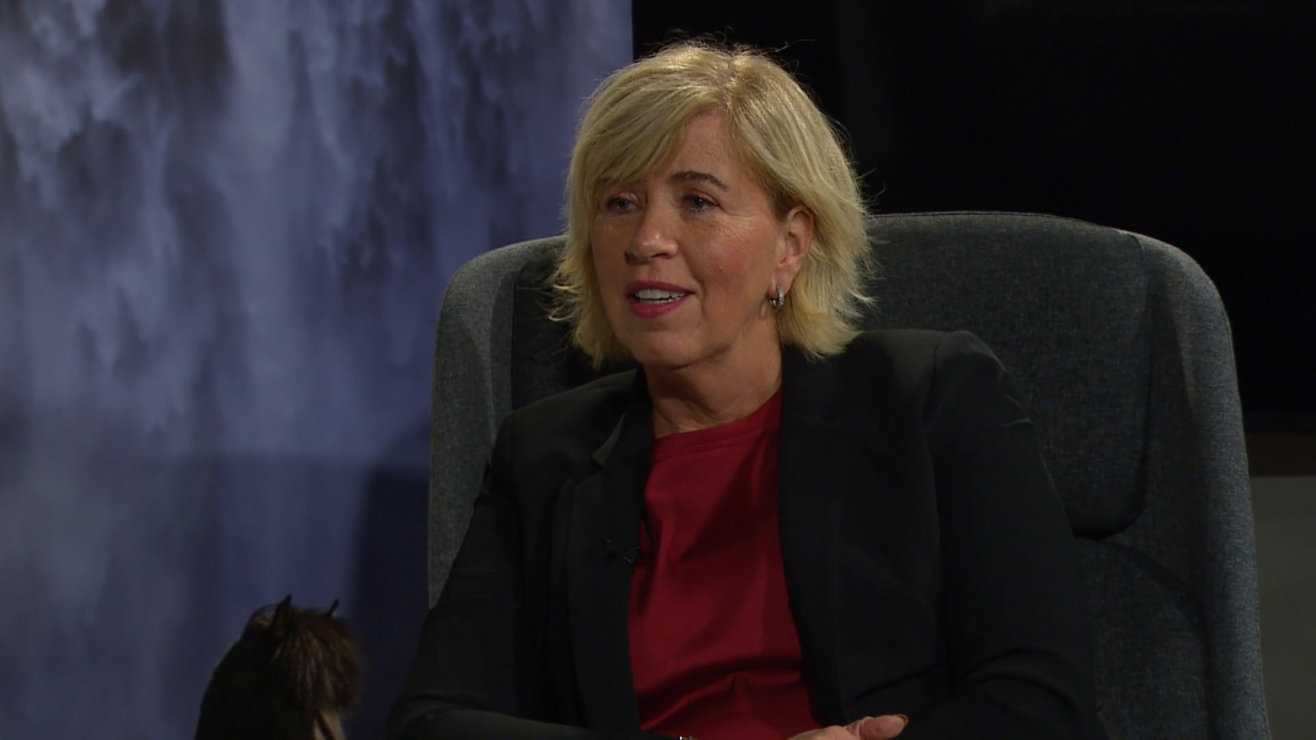 Viðtal við Lindu Björk Gunnlaugsdóttir formann LH