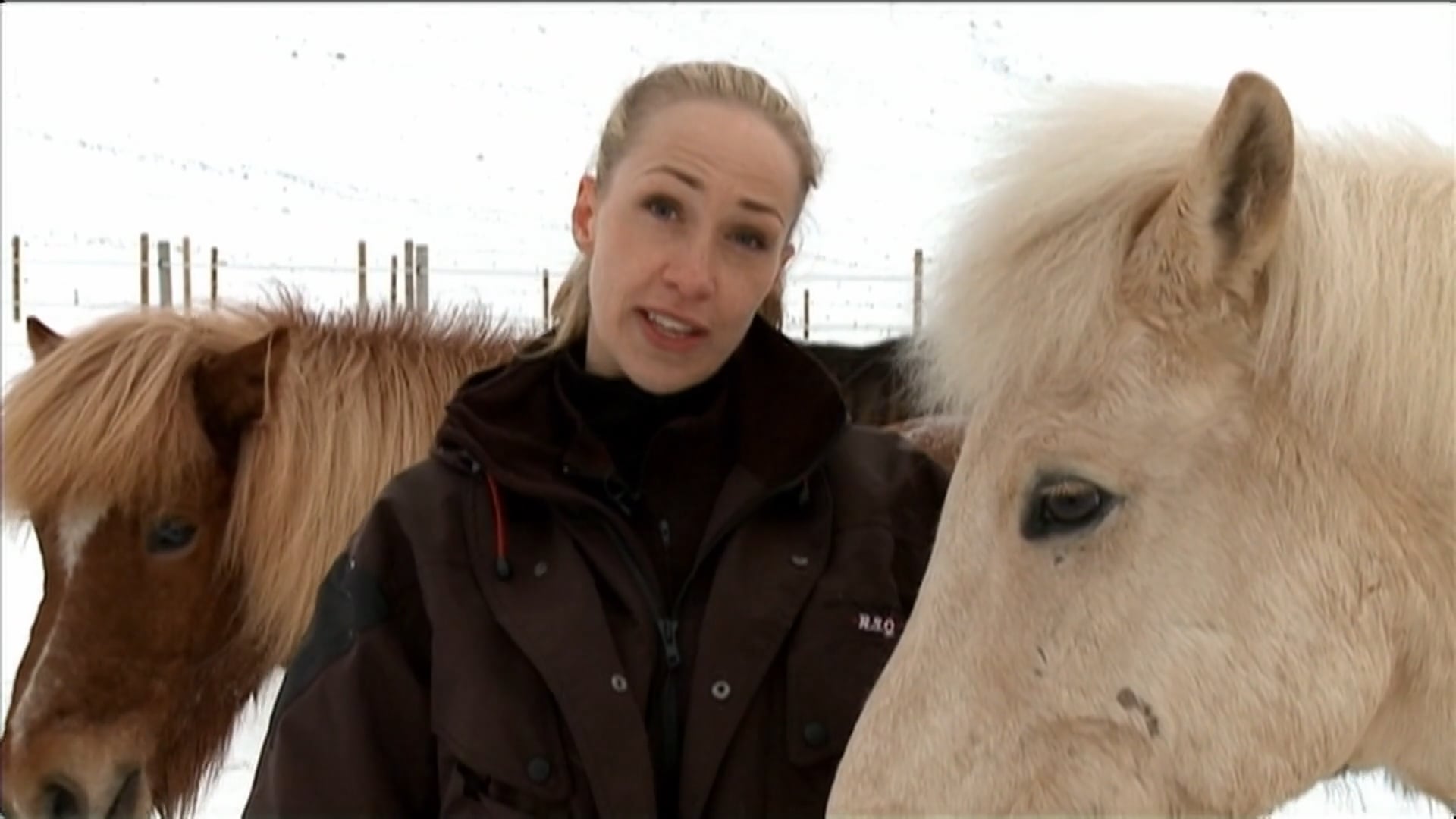 Dansað á Fákspori 2010