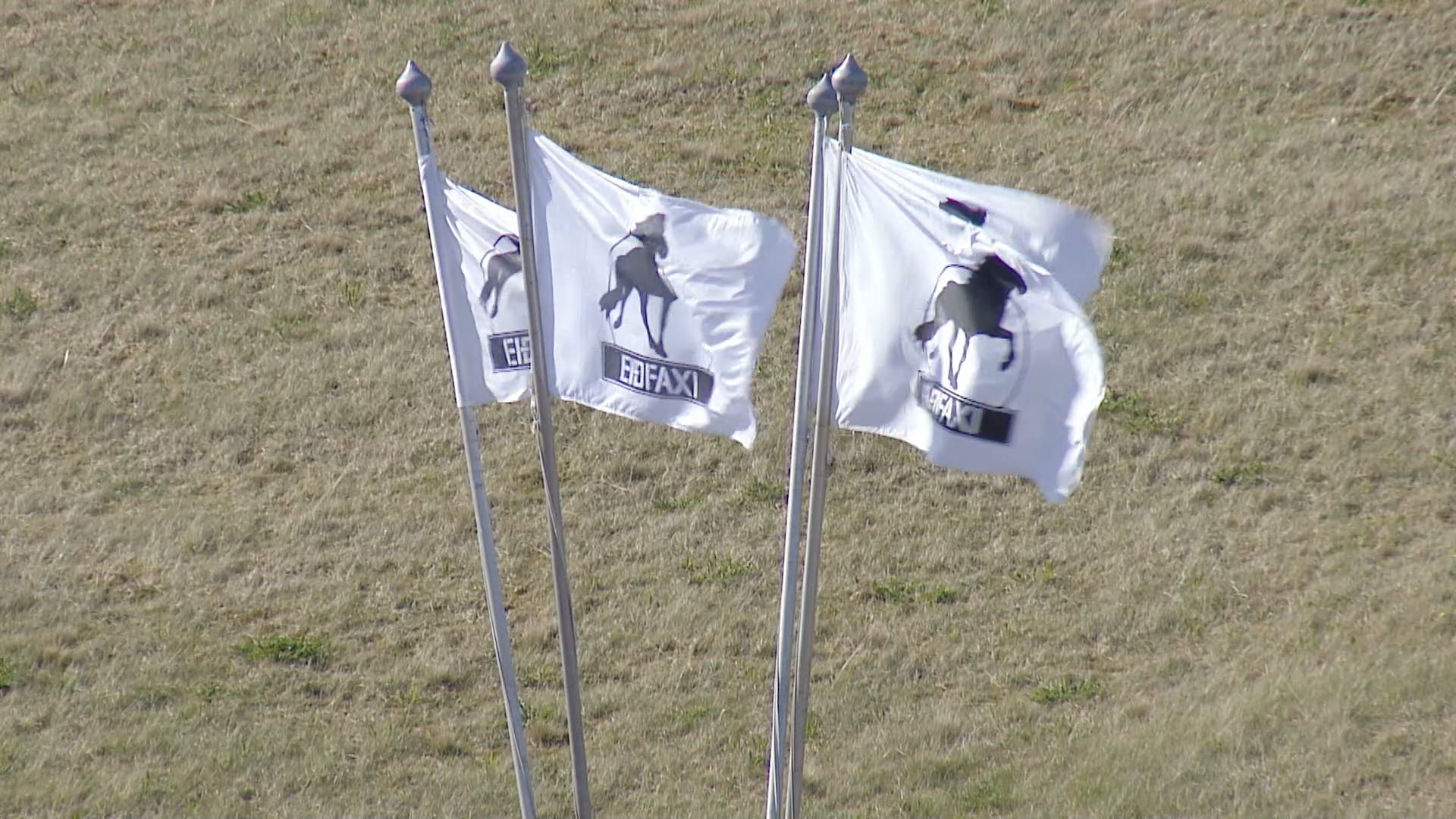 Tölt T1 - Meistaraflokkur - A úrslit - Íþróttamót Spretts 2025