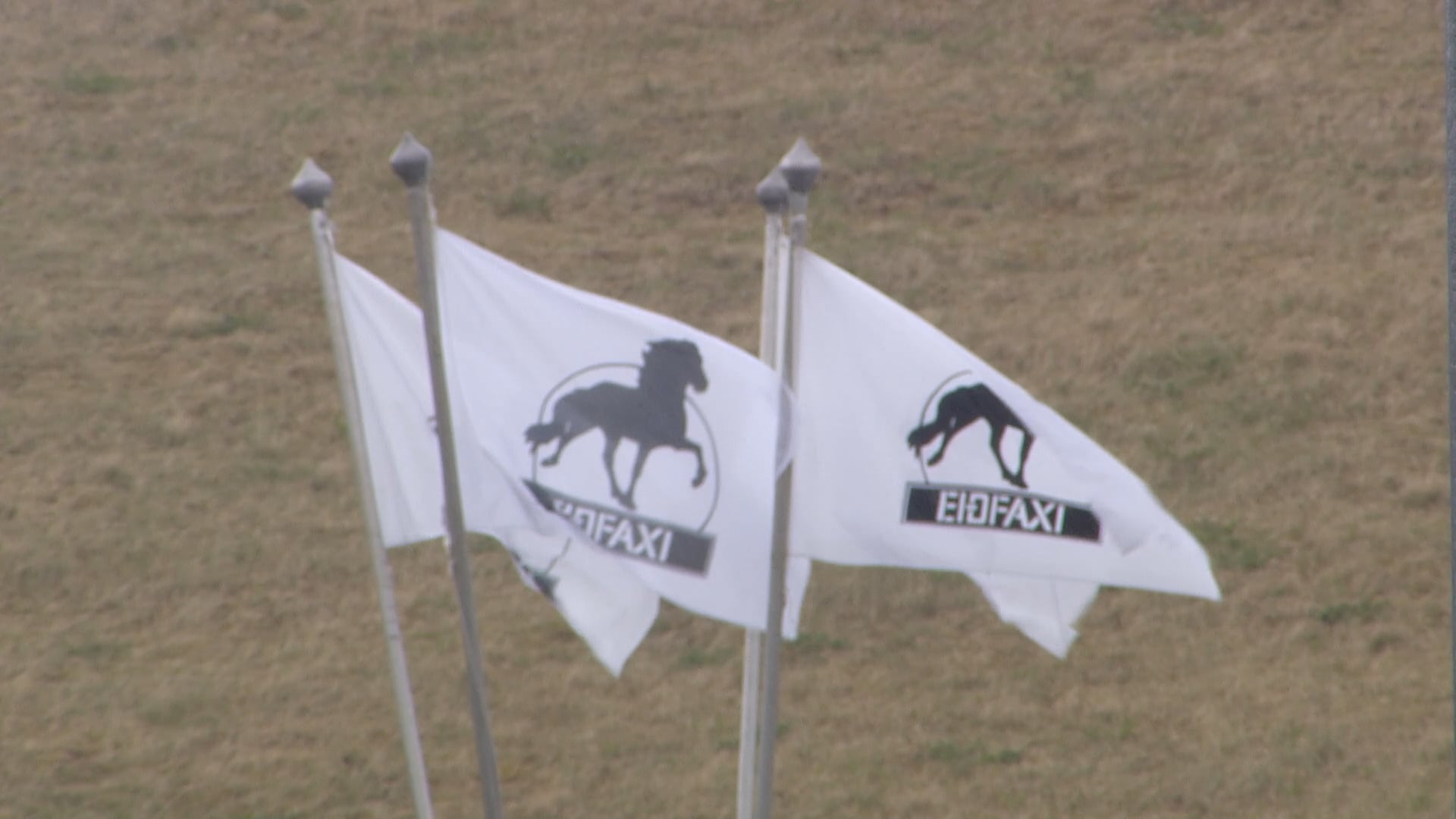 Tölt T2 - Ungmennaflokkur - A úrslit - Íþróttamót Spretts 2025