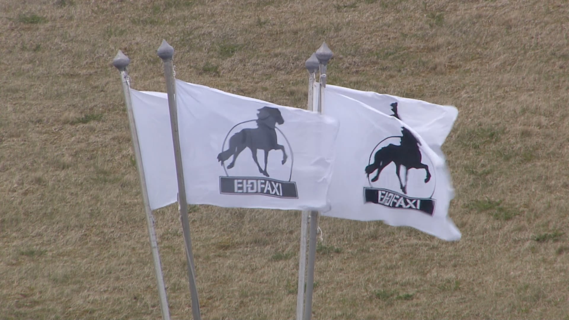 Fimmgangur F1 - Ungmennaflokkur - A úrslit - Íþróttamót Spretts 2025