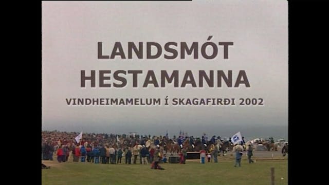Landsmót 2002 á Vindheimamelum - LH m...