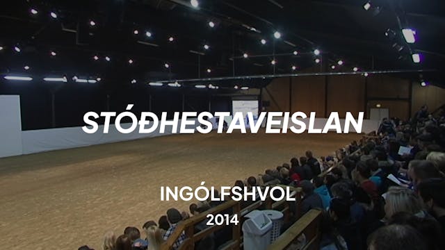 Stóðhestaveislan 2014