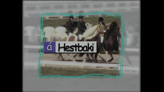Á hestbaki 2.þáttur