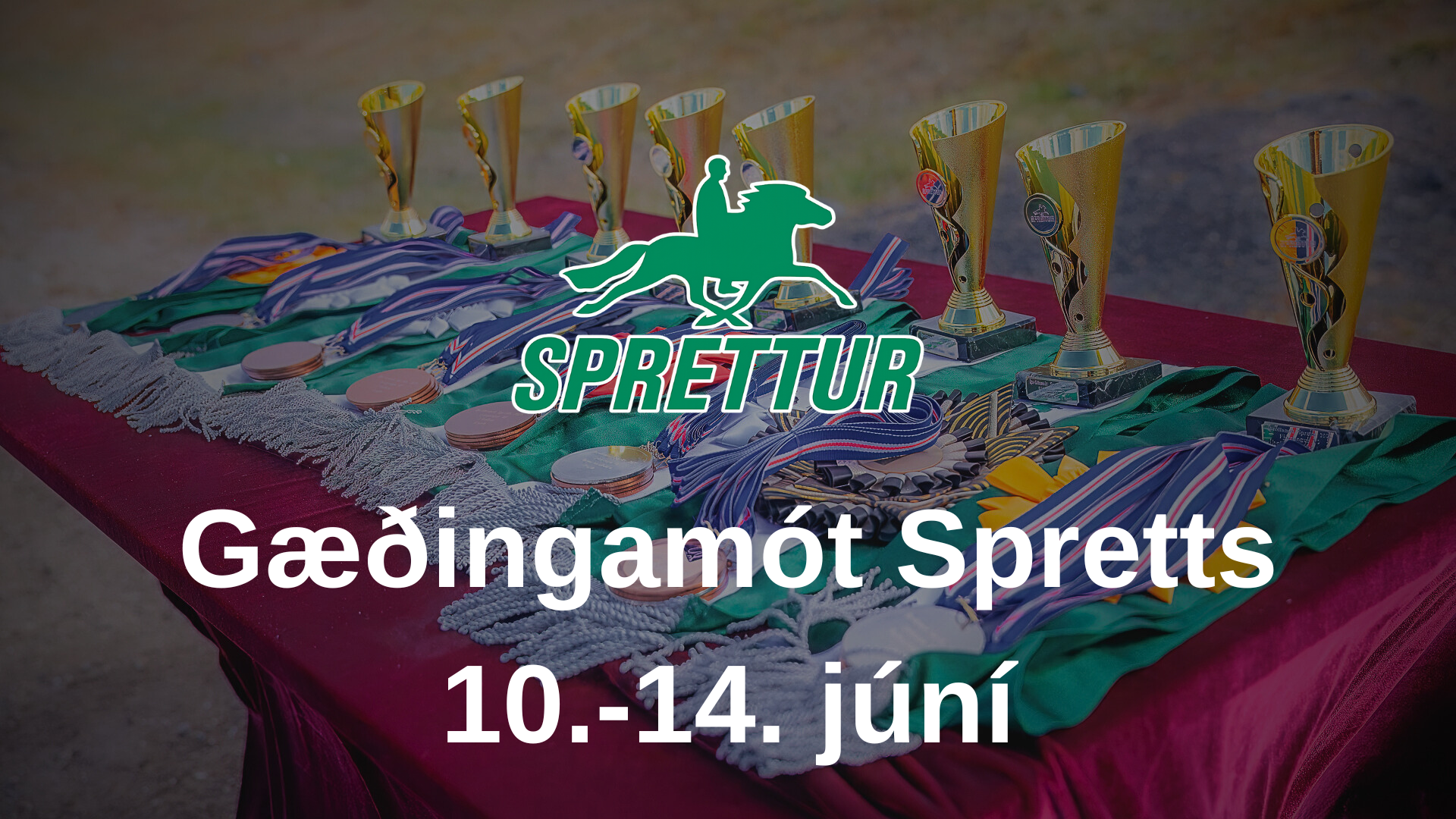 10.-14. júní Gæðingamót & úrtaka Sprettur Sóti