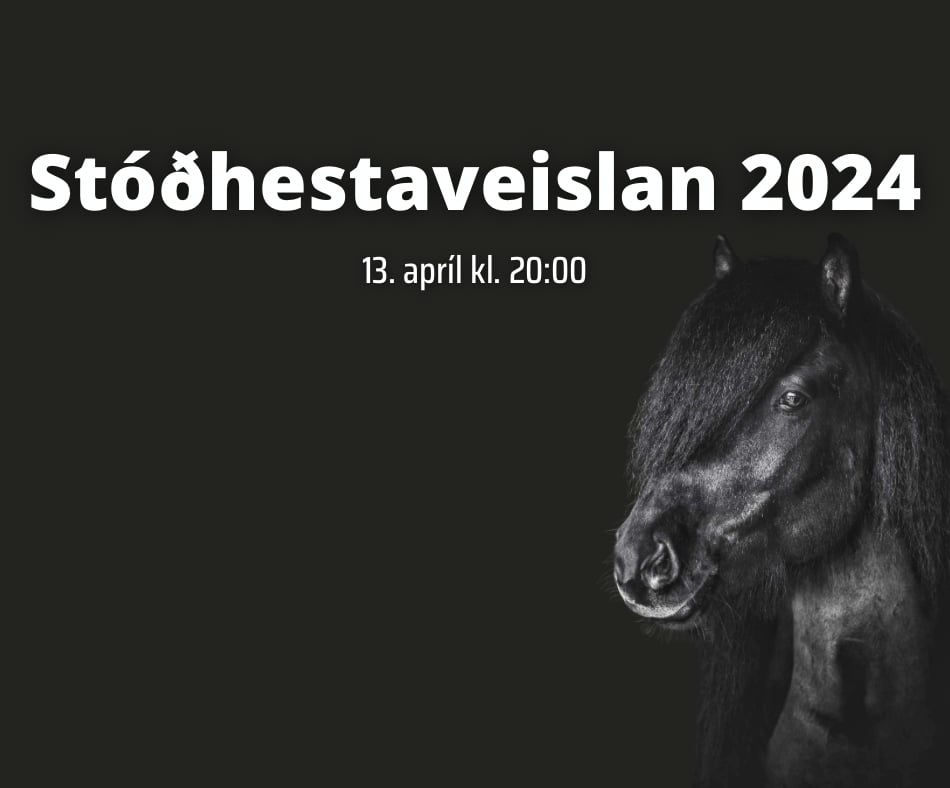 Stóðhestaveisla Eiðfaxa 2024