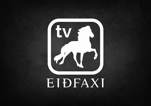 Dregið í rásröð fyrir fjórgang í Meis...