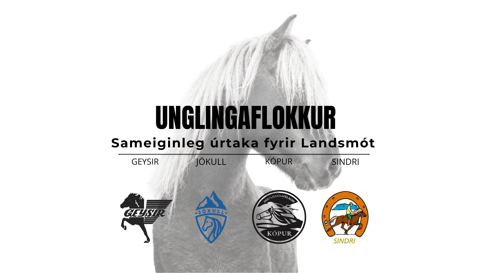 Unglingaflokkur - Landsmótsúrtaka Geysis, Jökuls, Kóps og Sindra