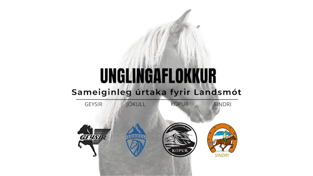 Unglingaflokkur - Landsmótsúrtaka Gey...