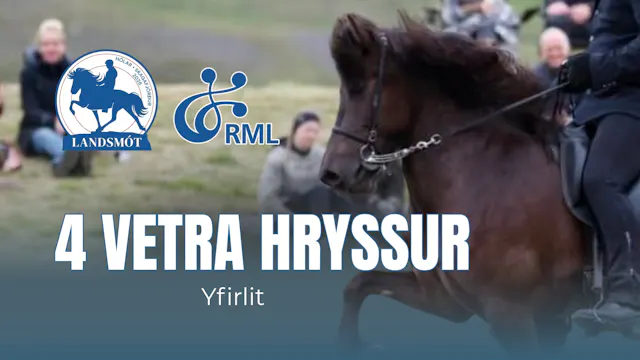 4 year old mares second round - Lands...