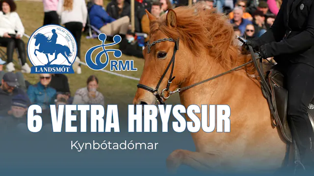 FIZO 6 year old mares - Landsmót hest...