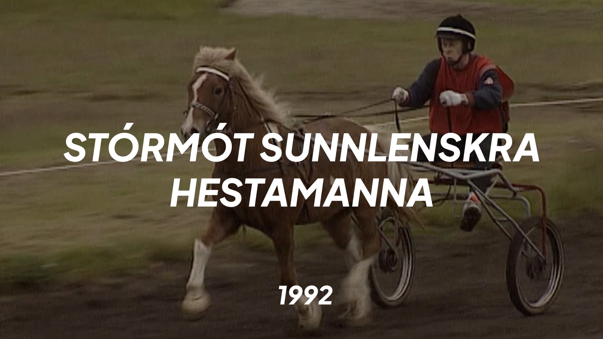 Stórmót sunnlenskra hestamanna 1992