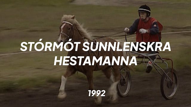 Stórmót sunnlenskra hestamanna 1992