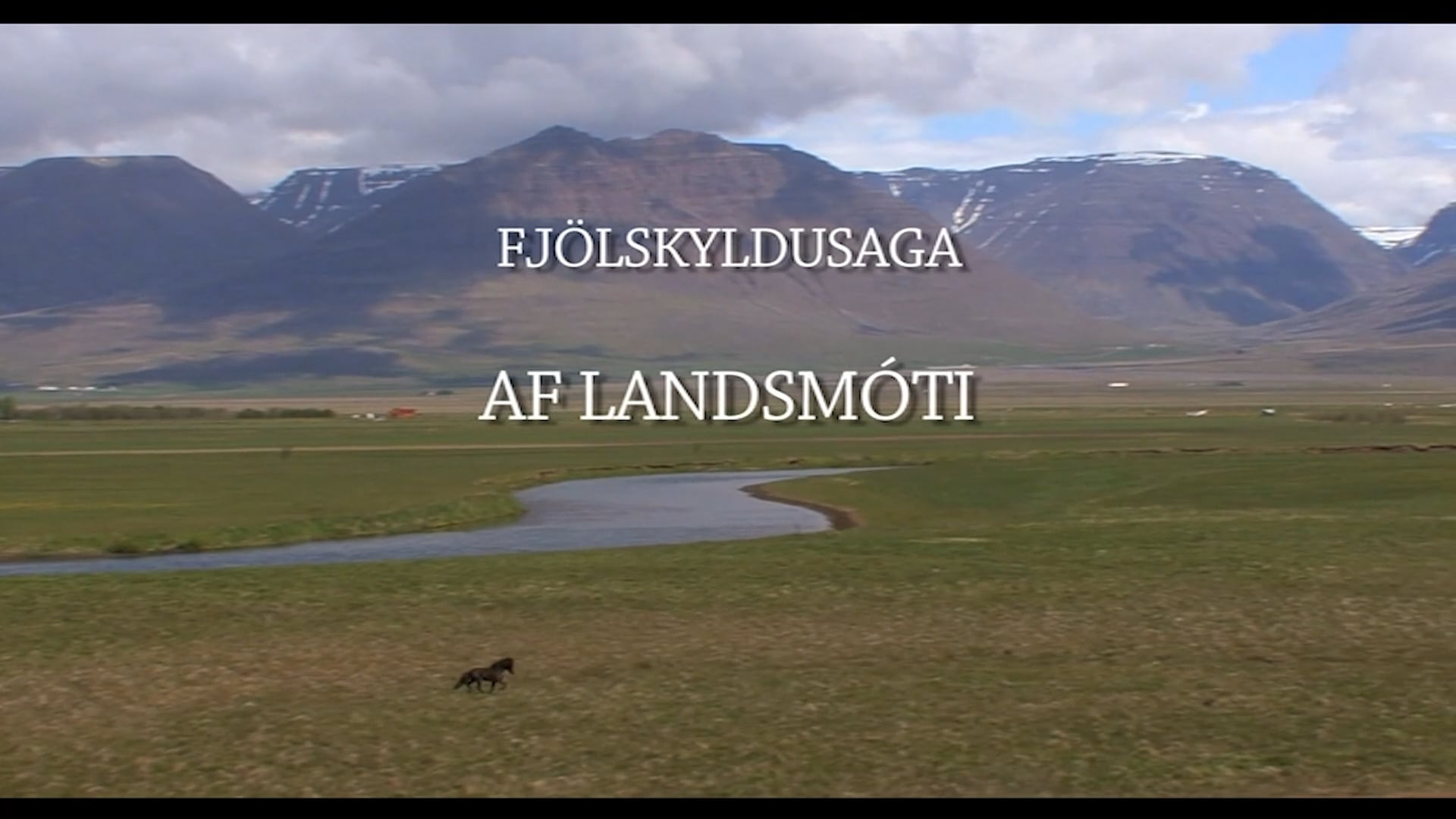 Fjölskyldusaga af Landsmóti