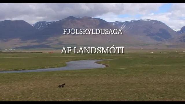 Fjölskyldusaga af Landsmóti
