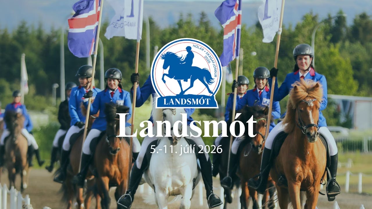 Landsmót hestamanna á Hólum 2026