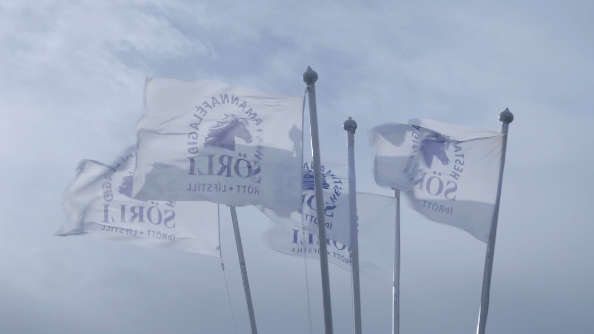 Sörlahöllin vígð