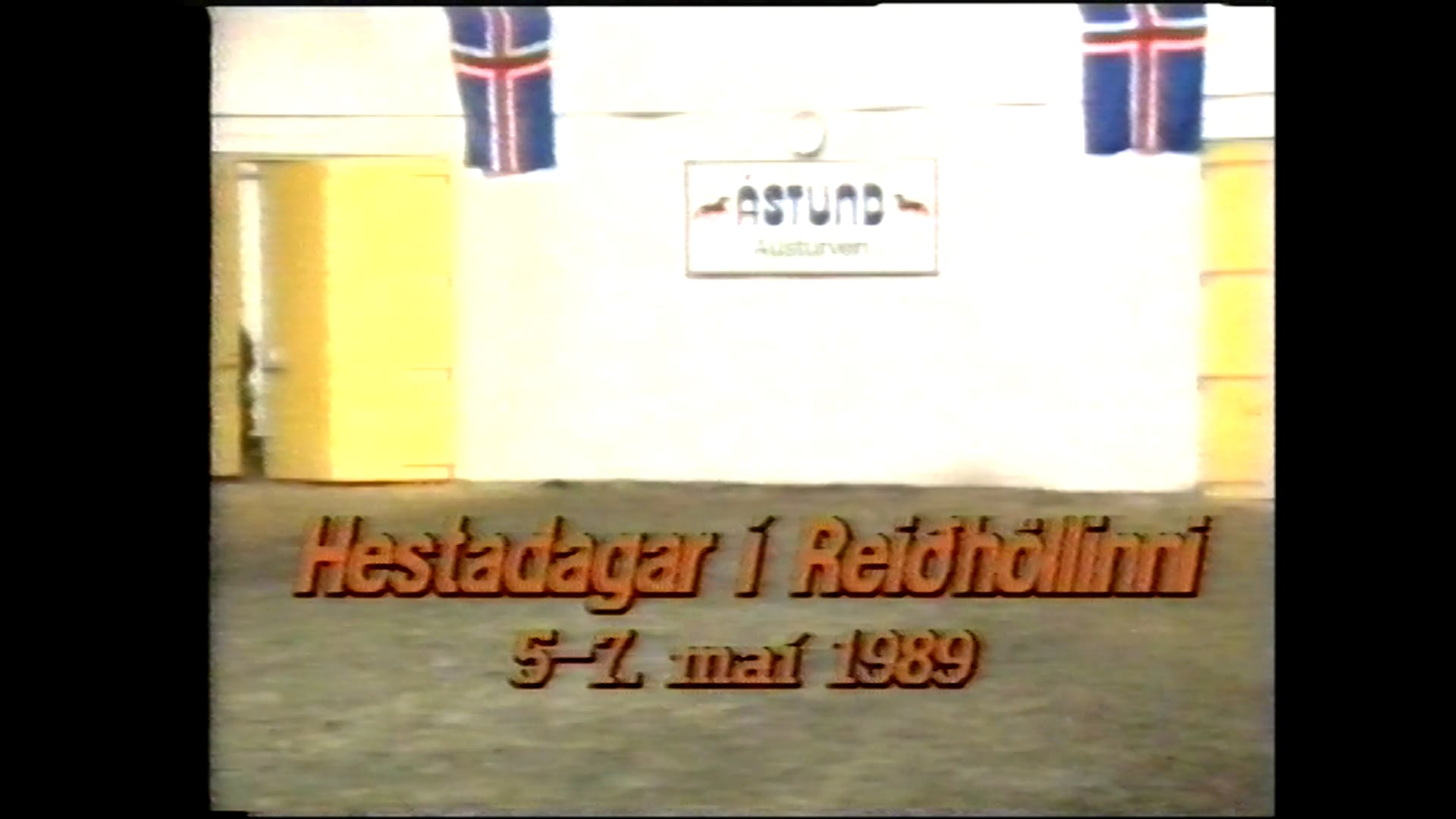 Hestadagar í Reiðhöllinni 1989
