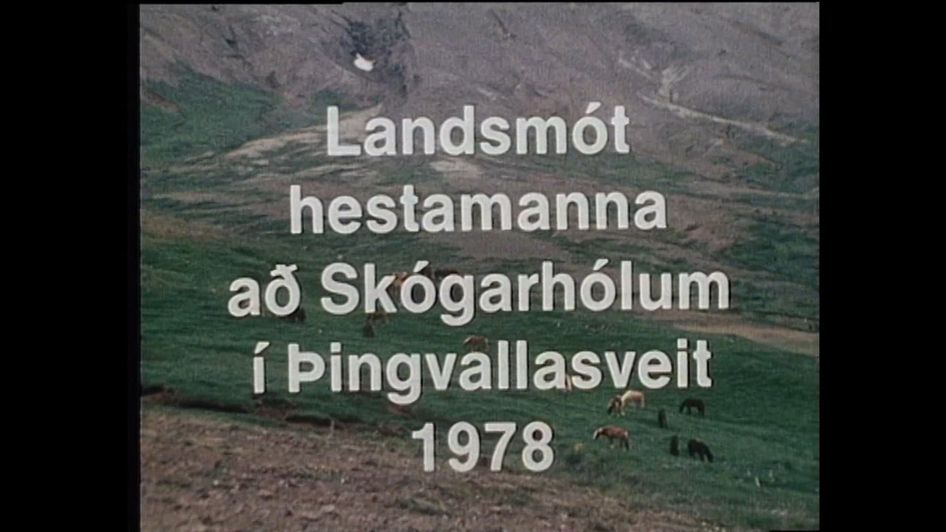 Landsmót hestamanna 1978
