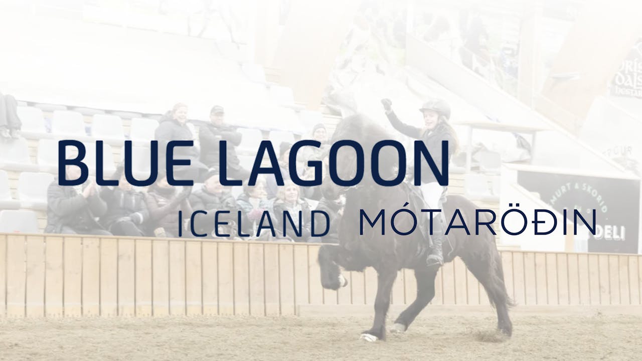 4. mars Blue Lagoon mótaröðin - Fimmgangur