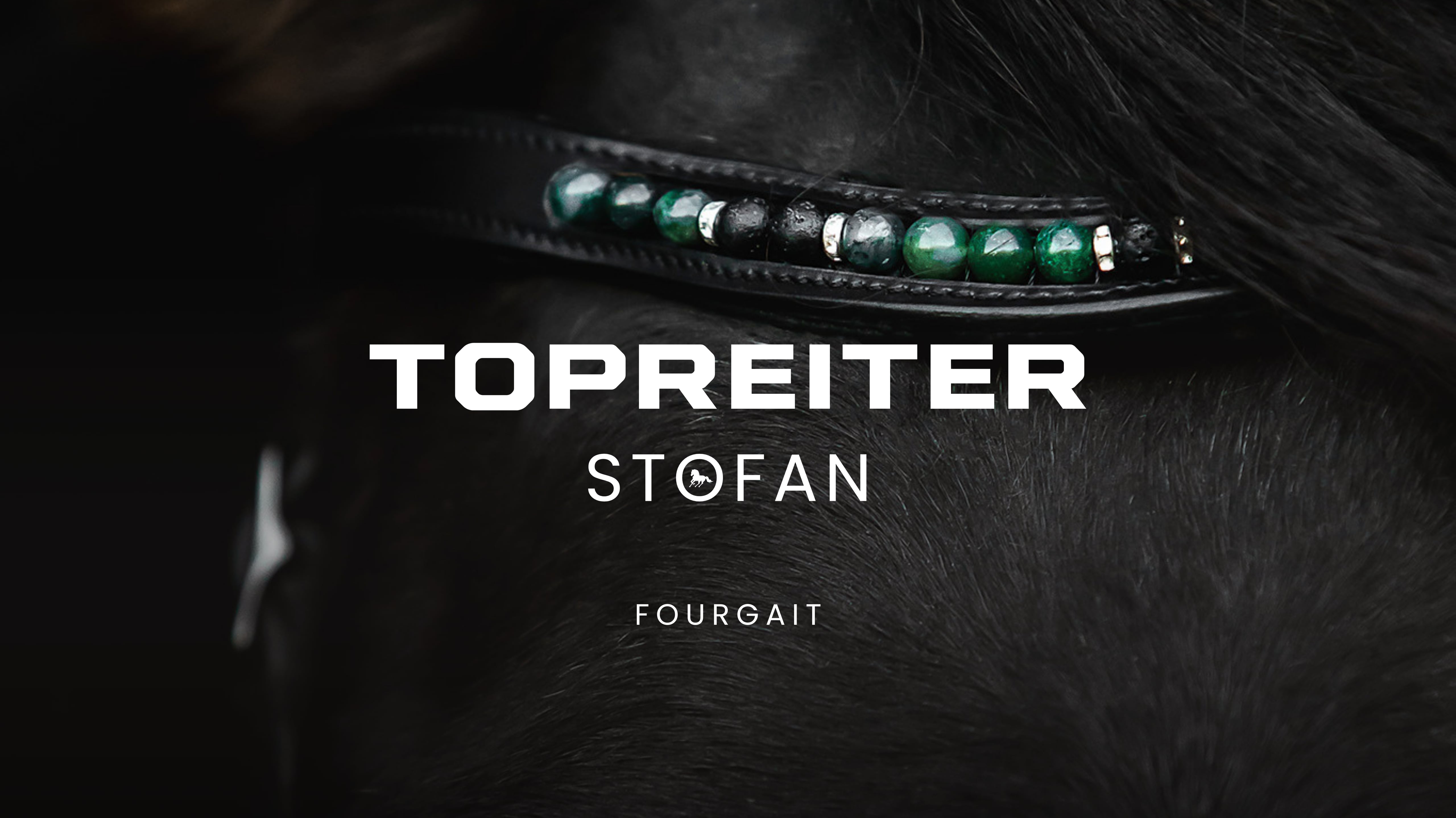 TopReiter stofan - V1 Uppgjörsþáttur - Meistaradeild Líflands 2026