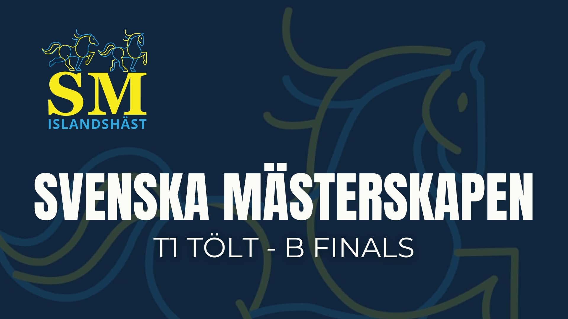 T1 B finals - Swedish Championship