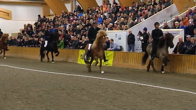 Á spretti 2015 - Þáttur 4