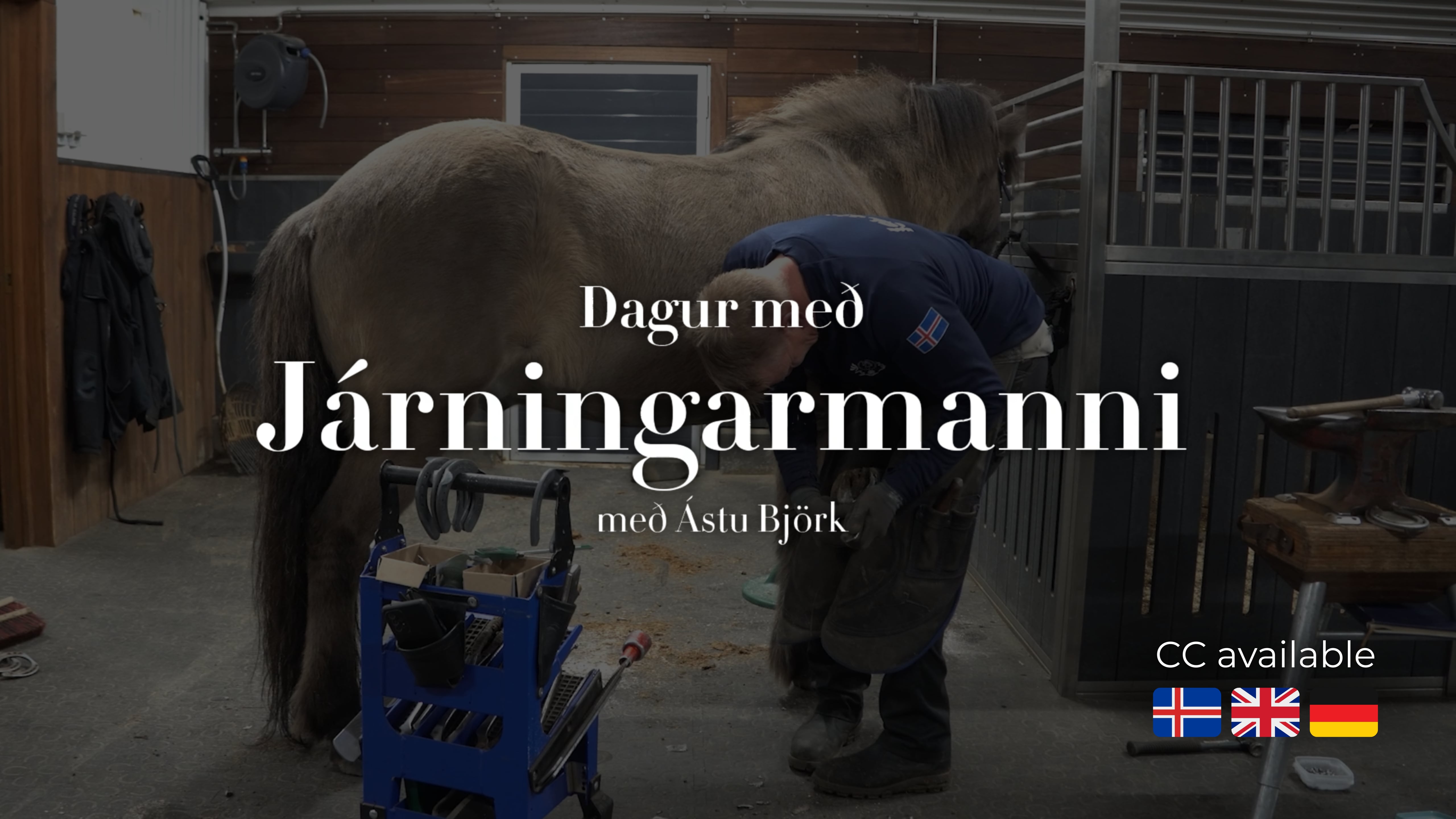 A day with a farrier