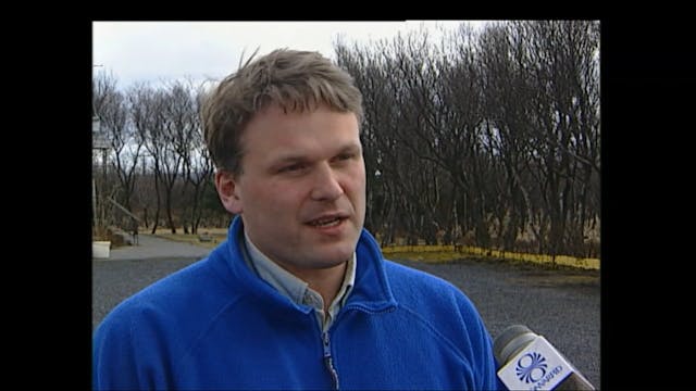 Bestu stóðhestar landsins eru metnir ...