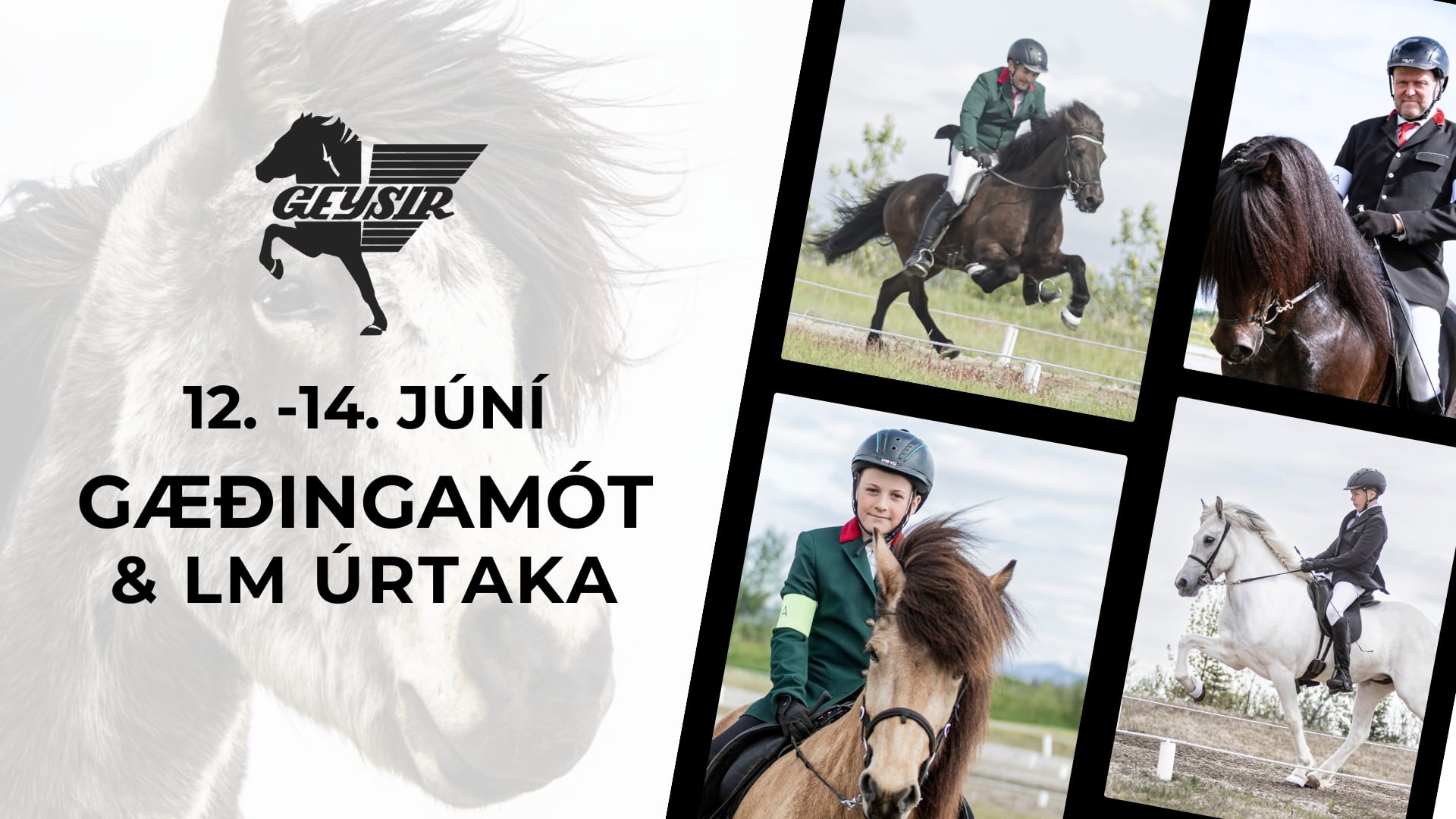13. June - Landsmótsúrtaka Geysis, Jökuls, Kóps og Sindra