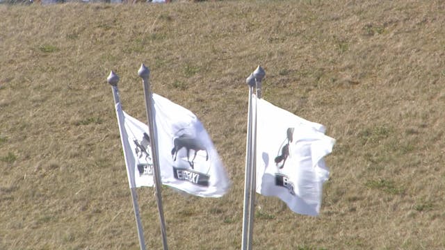 Tölt T1 - Ungmennaflokkur - A úrslit ...