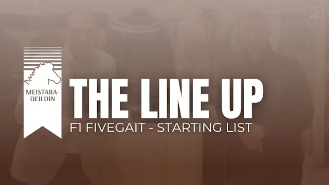 Dregið í ráslista F1 - Meistaradeild ...