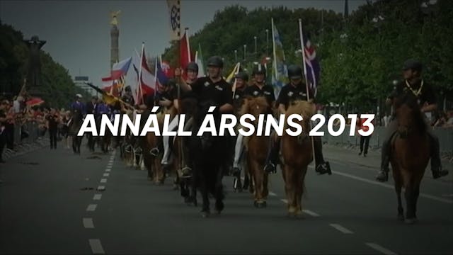 Annáll ársins 2013