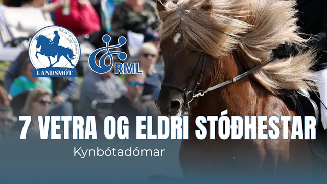 7 years and older stallions - Landsmó...