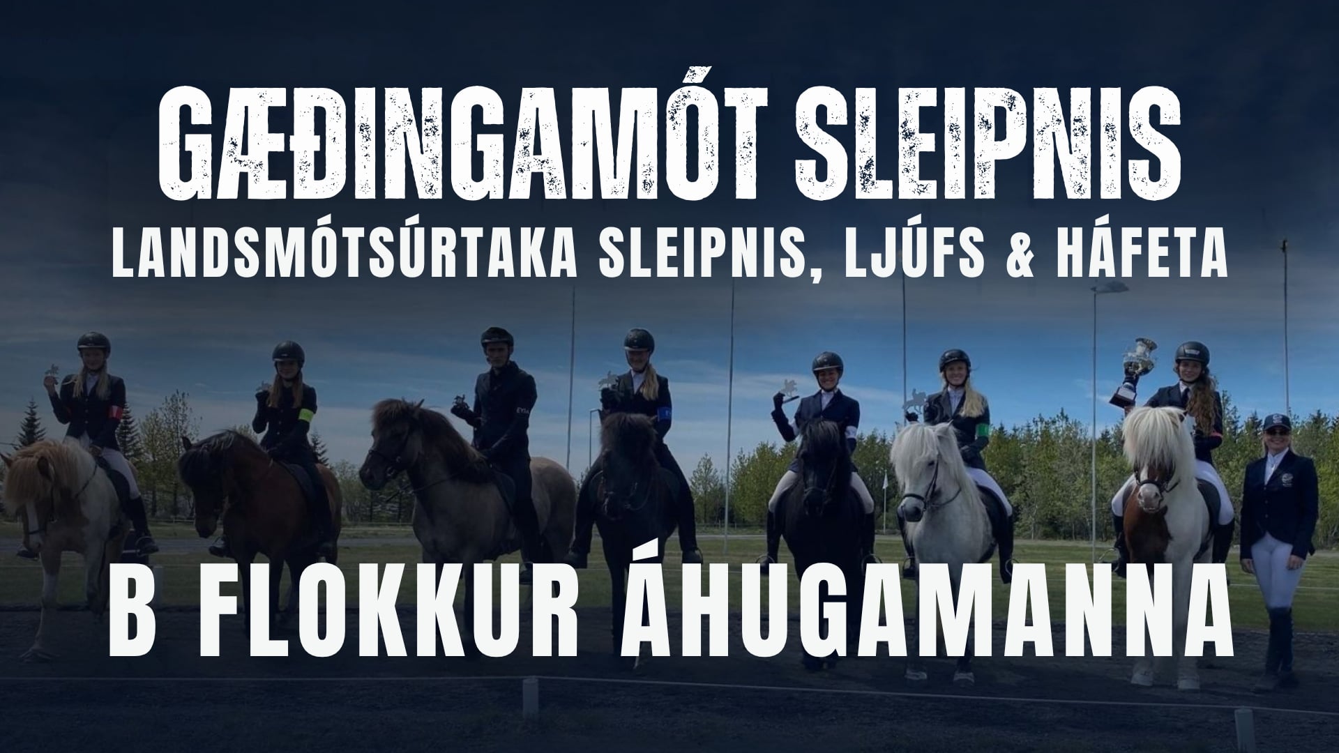 B flokkur áhugamanna - Gæðingamót Sleipnis og Landsmótsúrtaka Sleipnis, Ljúfs og Háfeta