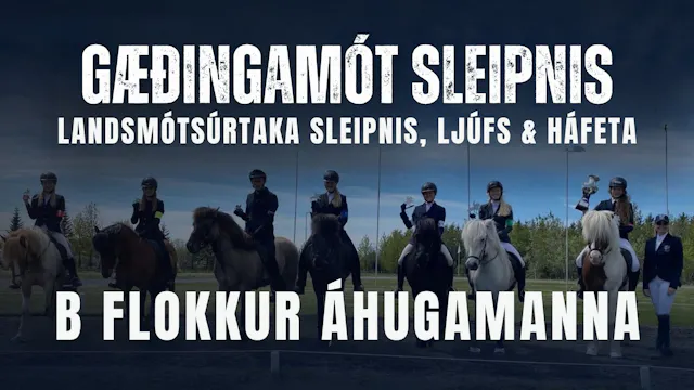 B flokkur áhugamanna - Gæðingamót Sle...