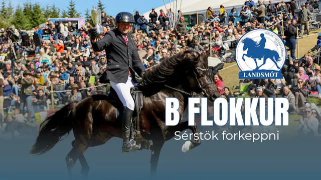 B flokkur preliminary round - Landsmó...