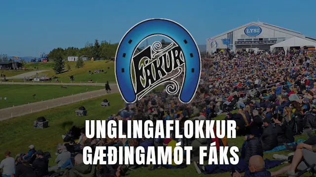 Unglingaflokkur - Gæðingamót Fáks og ...
