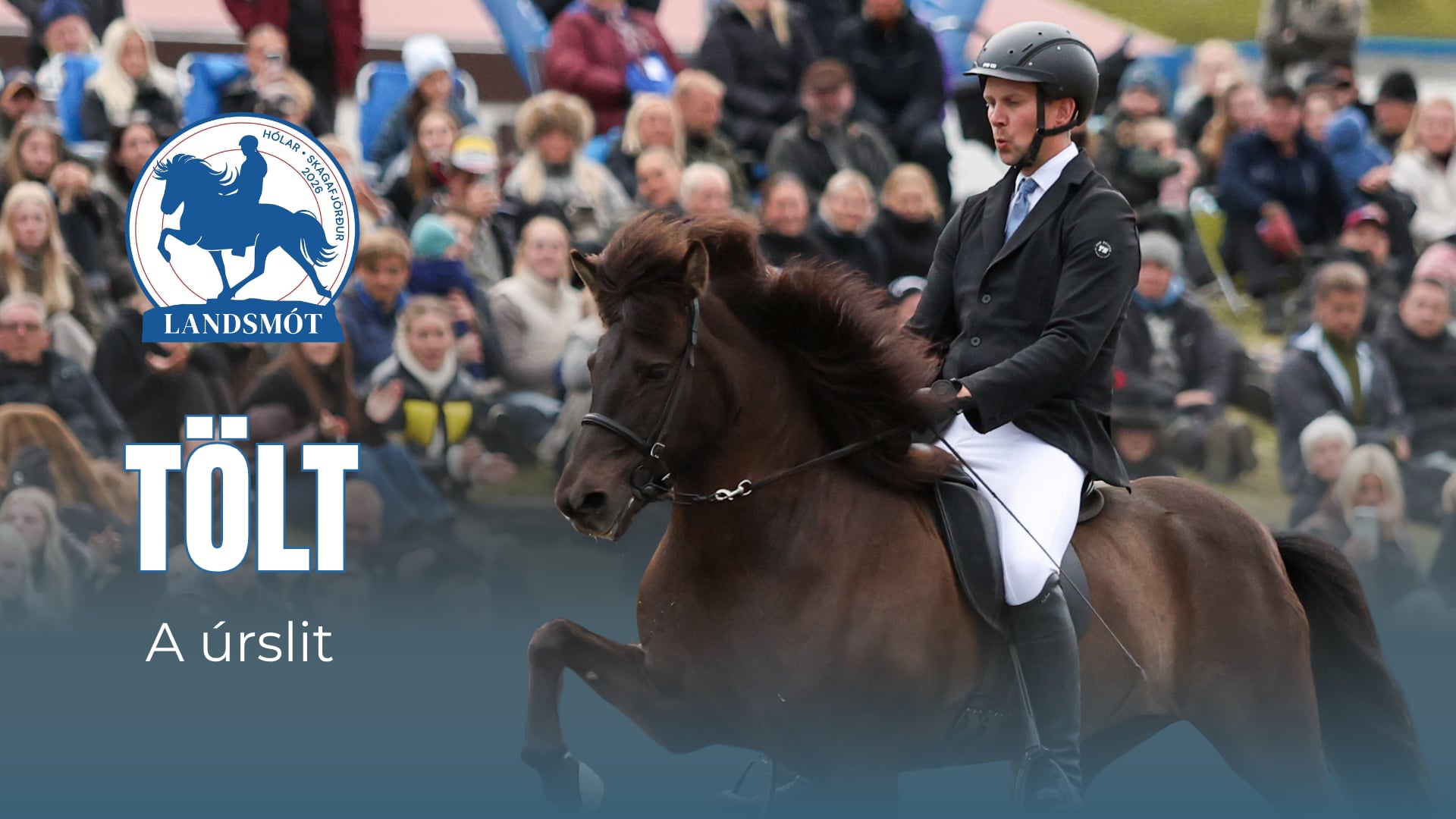 Tölt T1 A finals - Landsmót hestamanna