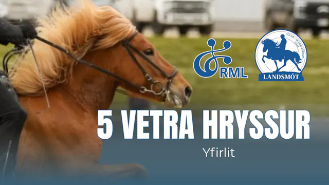 5 year old mares second round - Lands...