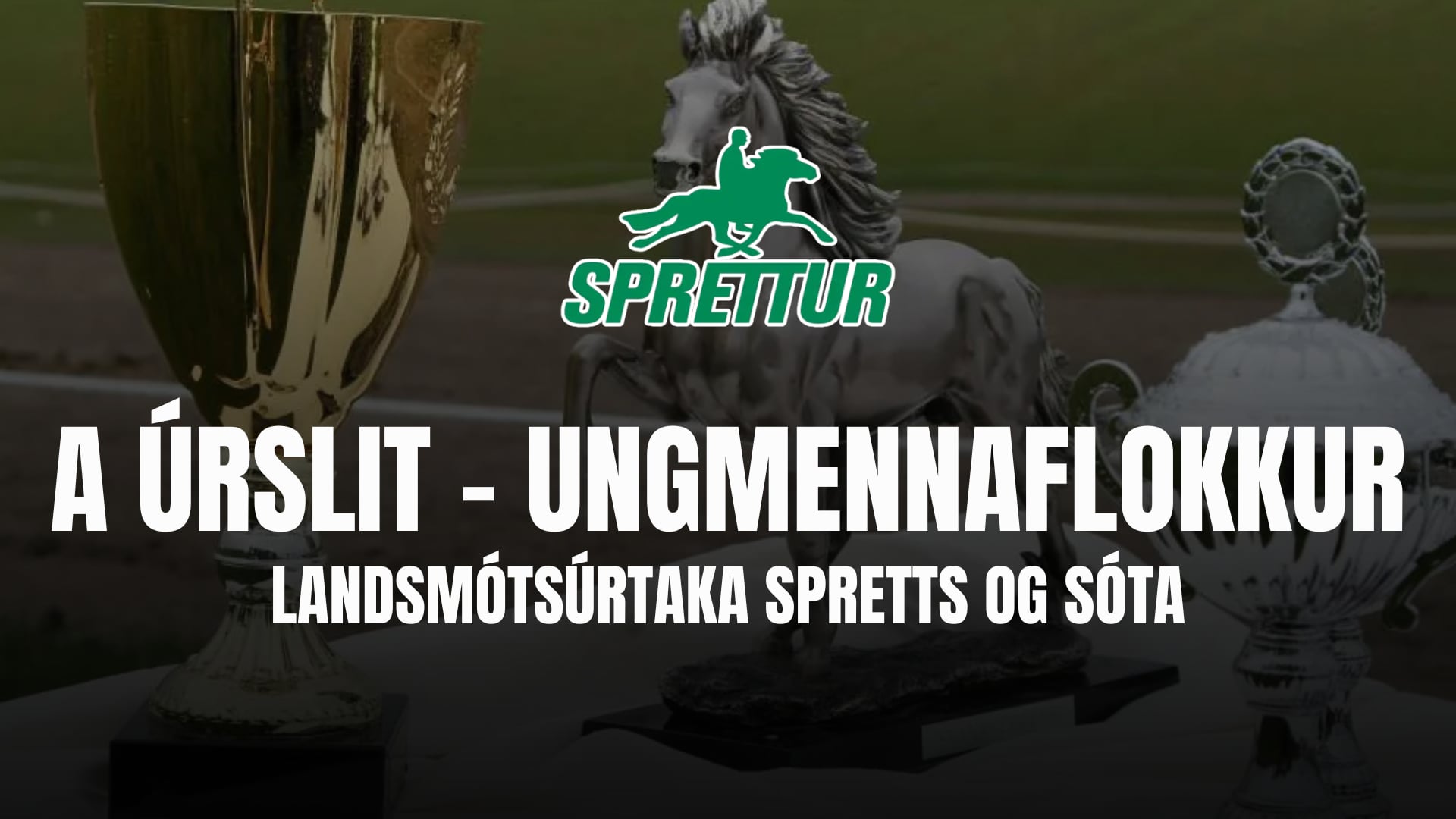 A úrslit B flokkur ungmenna - Gæðingamót Spretts