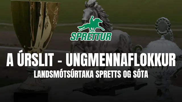 A úrslit B flokkur ungmenna - Gæðinga...
