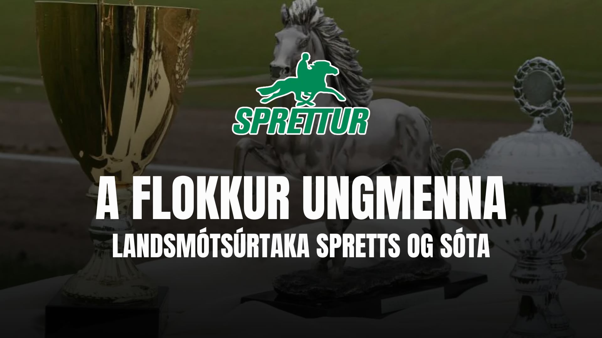 A flokkur ungmenna - Landsmótsúrtaka Spretts