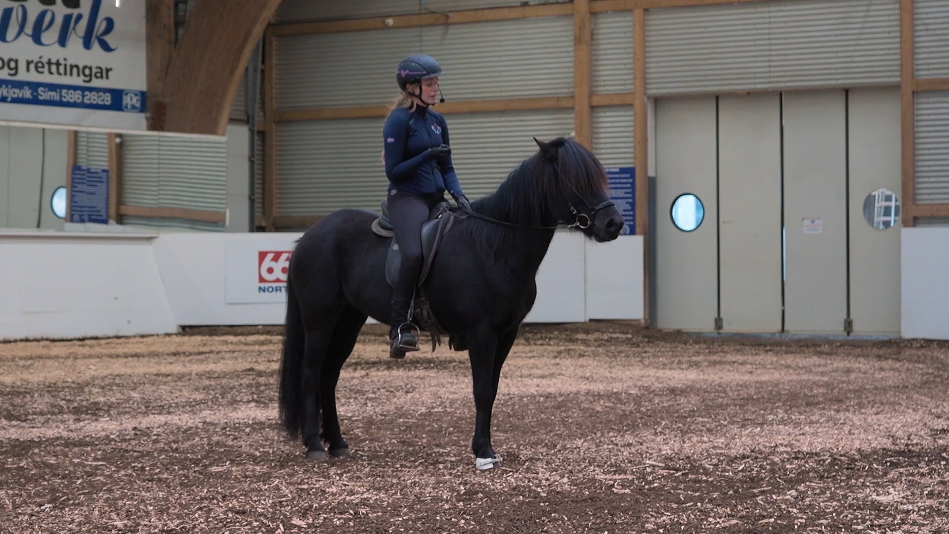 Hestadagar 2025 - Védís Huld Sigurðardóttir