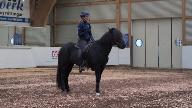 Hestadagar 2025 - Védís Huld Sigurðar...