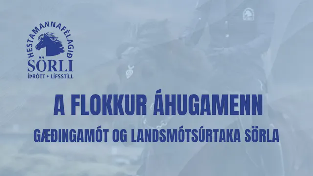 A flokkur áhugamenn - Gæðingamót Sörl...